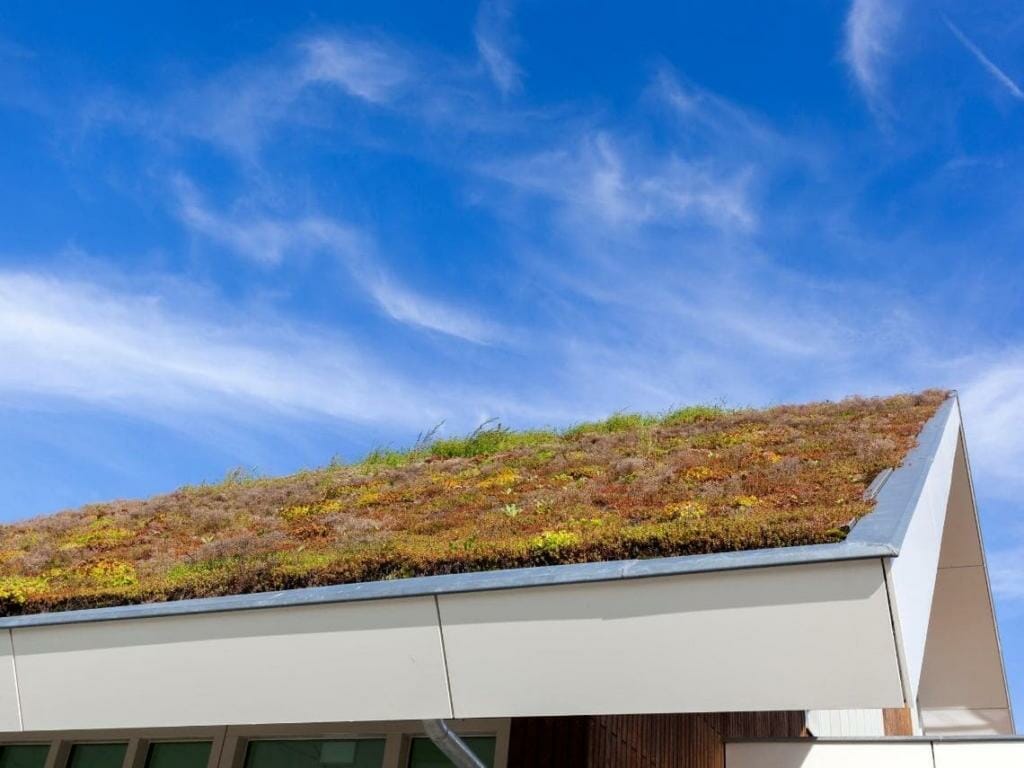 entretien de la toiture vegetale 1 1024x768 1