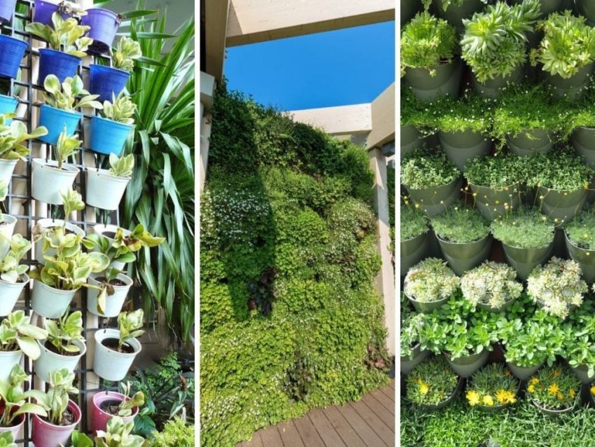 Jardin suspendu : l’atout végétal de vos petits espaces